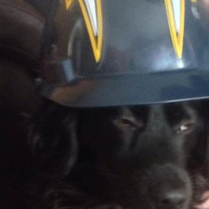 Meet your Posher, Scott